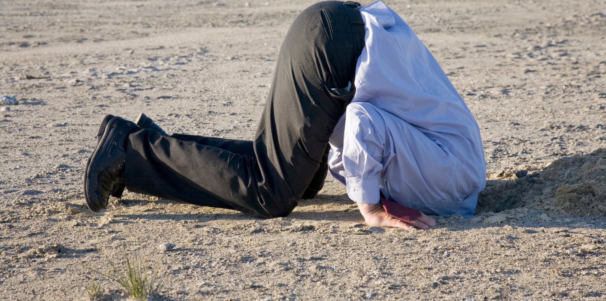 Accidental Leader.jpg