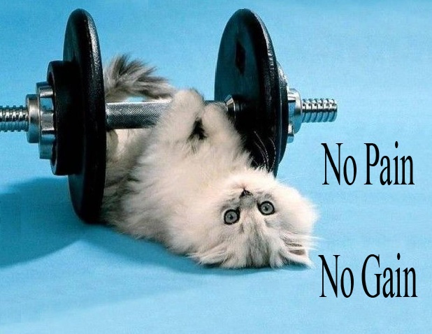 No Pain No Gain